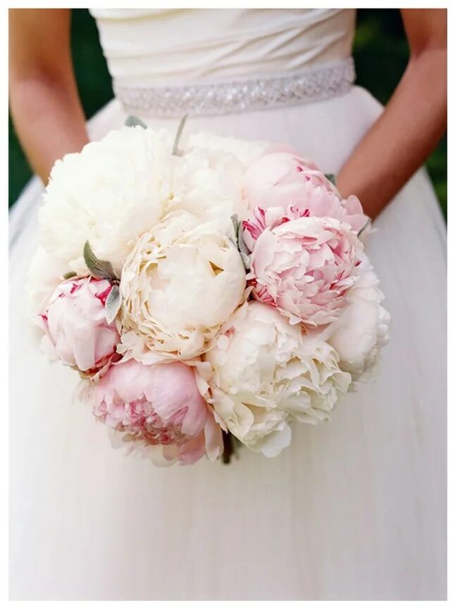Пион обручальное кольцо фото и описание Pin by Carla Vidal on Bouquet Blush bouquet wedding, Blush floral design, White 