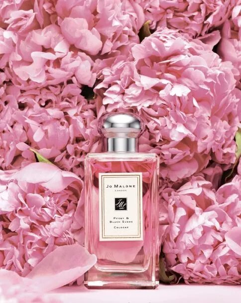 Пион парфюм фото Fragrance Nordstrom Perfume, Women perfume, Sweet perfume