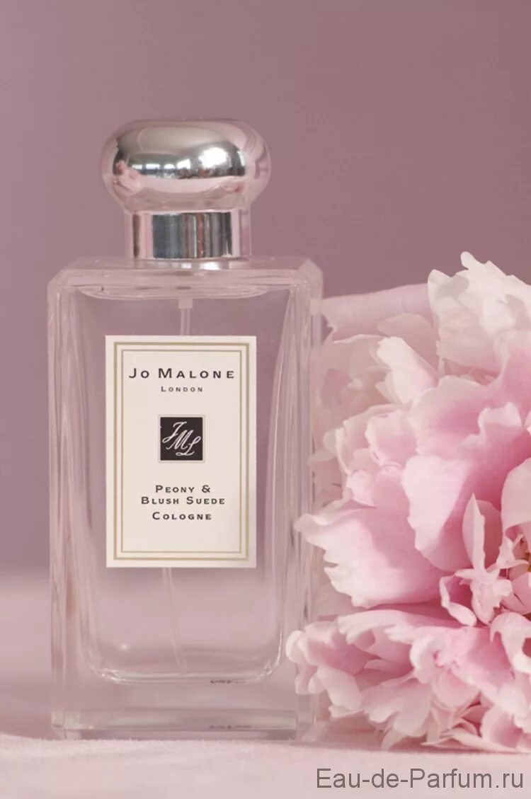 Пион парфюм фото Купить духи, туалетную воду Peony & Blush Suede Cologne (JM) 100ml women. Достав