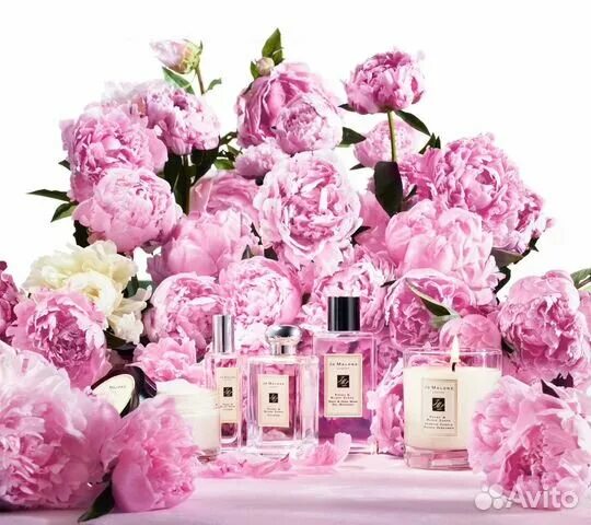 Пион парфюм фото Jo Malone Peony & Blush Suede, парфюм 50 мл купить в Новосибирске Личные вещи Ав