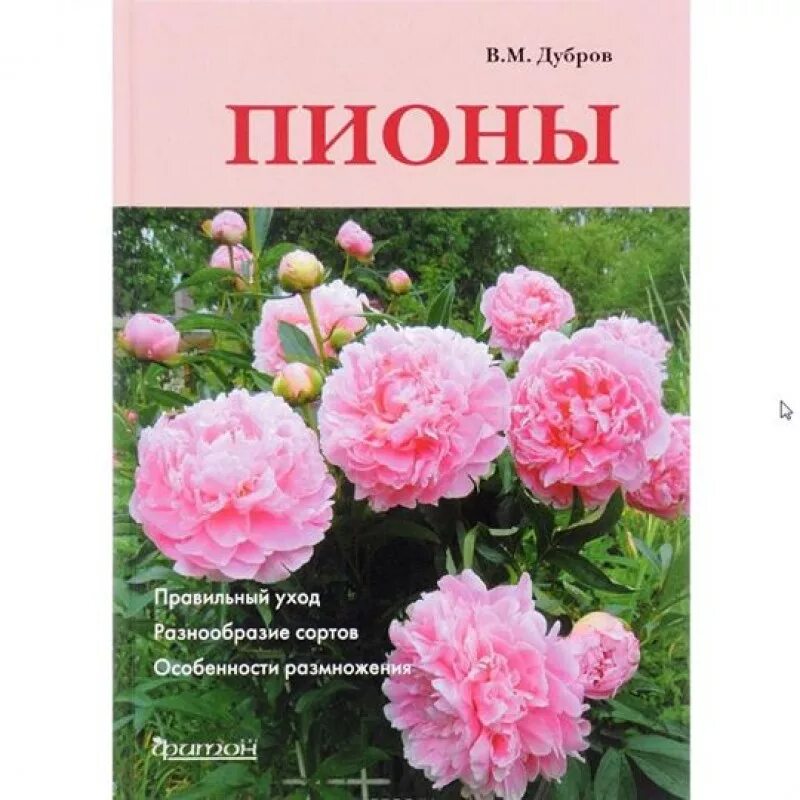 Пион владимир дубров описание и фото Пионы, Дубров Владимир Меерович Доставка по Европе