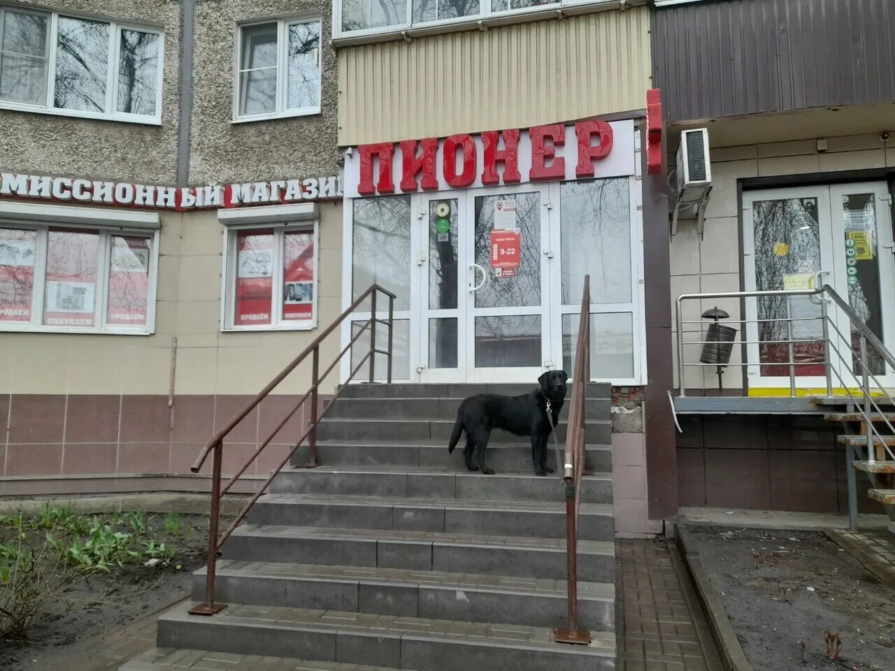 Пионер ул имени генерала меркулова 31 фото Panorama: Pioneer, pawnshop, Lipetsk, ulitsa imeni Generala Merkulova, 31 - Yand