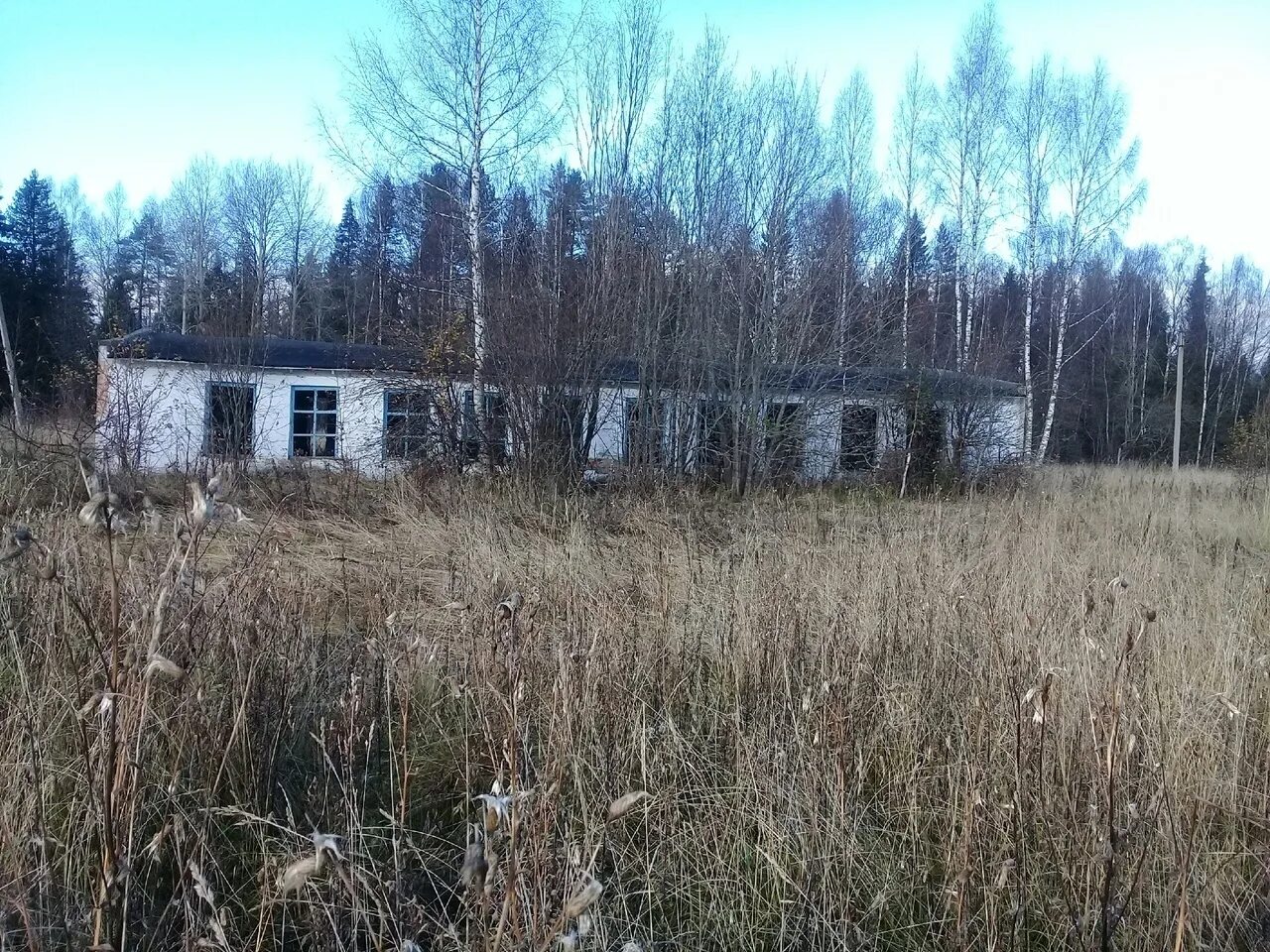 Пионерский лагерь солнечная поляна богородицкий район фото Пионерский лагерь "Солнечный": что с ним сейчас - Наверняка в. - tigrocrys - Liv