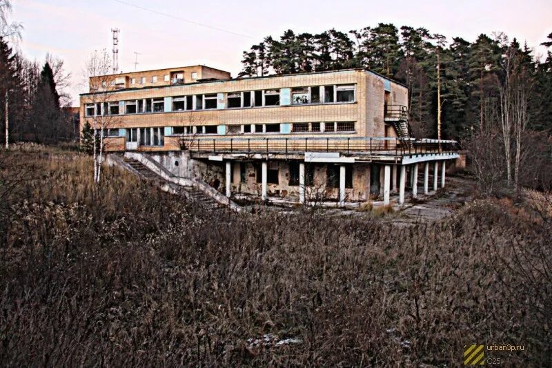 Пионерский лагерь солнечная поляна богородицкий район фото Фотографии СОЛНЕЧНАЯ ПОЛЯНА 168 Д НОВОСАРАТОВКА