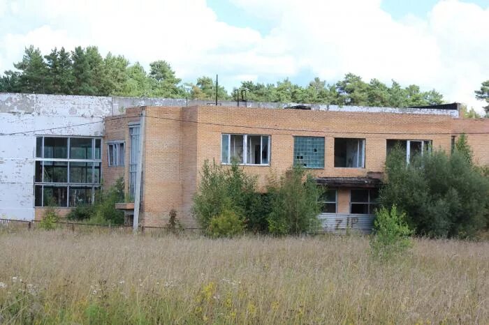 Пионерский лагерь солнечная поляна богородицкий район фото База отдыха "Солнечная поляна"