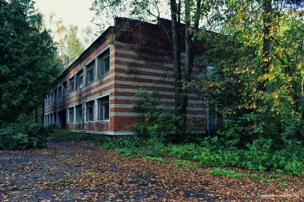Пионерский лагерь солнечная поляна богородицкий район фото Лагерь Солнечная поляна " Заброшенное наследие СССР!