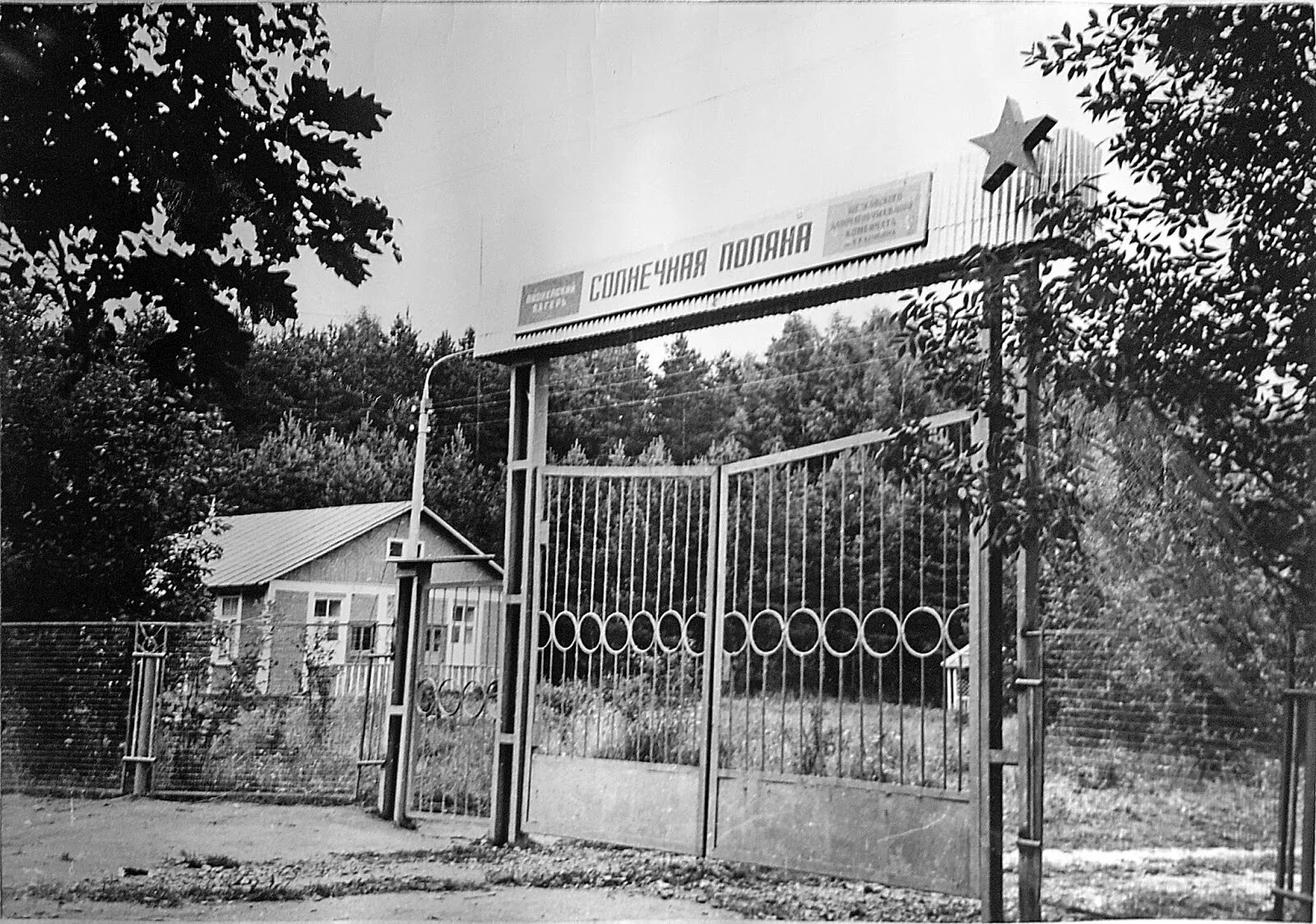 Пионерский лагерь солнечная поляна богородицкий район фото Подмосковный краевед: "Судьба человека": автобиографии и биографии щёлковцев пер
