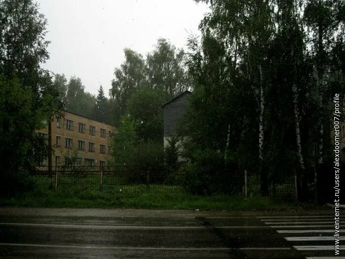 Пионерский лагерь солнечная поляна богородицкий район фото Солнечное пионерская - найдено 84 картинок