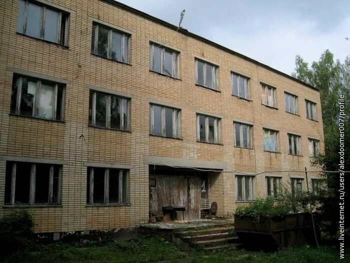 Пионерский лагерь солнечная поляна богородицкий район фото Рузские поляны