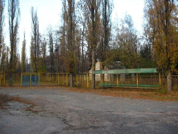 Пионерский лагерь солнечная поляна богородицкий район фото Детский лагерь "Cолнечная поляна"