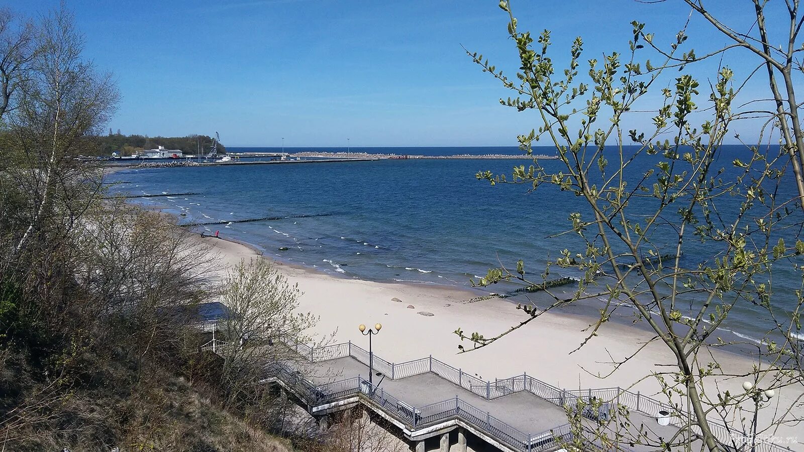 Пионерский море фото Весна в Пионерском Про Балтику