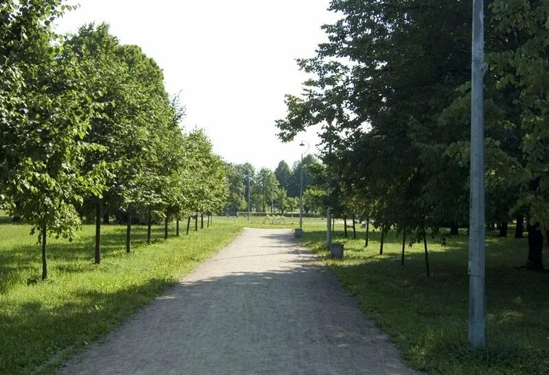 Пионерский парк тамбов пионерский парк фото Без рубрики - Страница 674 из 853 - Кировская правда, газета региона