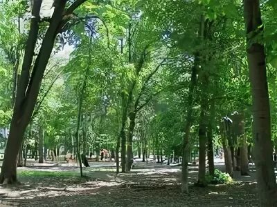 Пионерский парк тамбов пионерский парк фото Тамбов, парк Пионерский. Улица Пионерская. Информация о достопримечательности, ф
