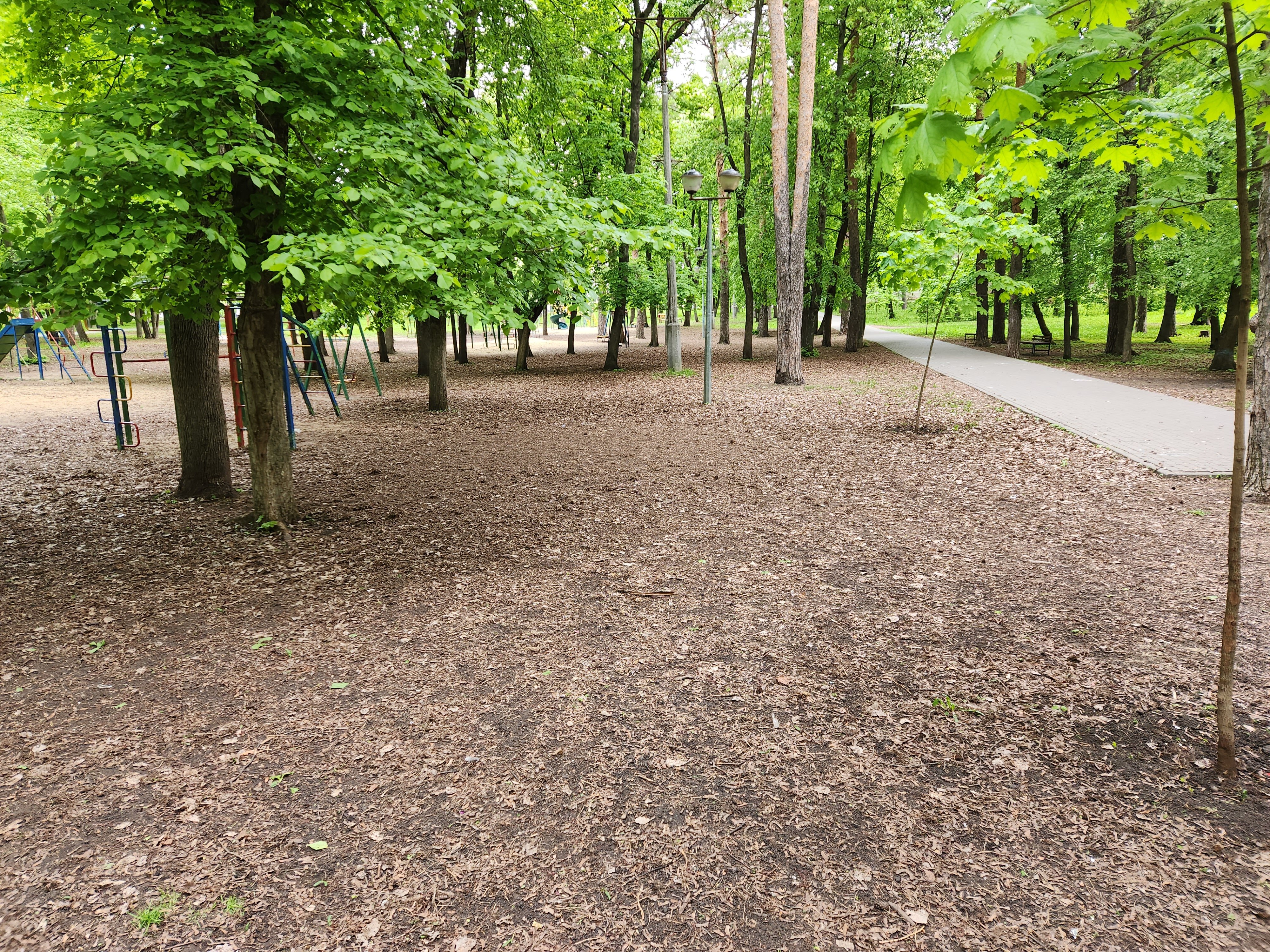 Пионерский парк тамбов пионерский парк фото Reviews of Пионерский парк, Tambov, Pionerskiy park - Yandex Maps