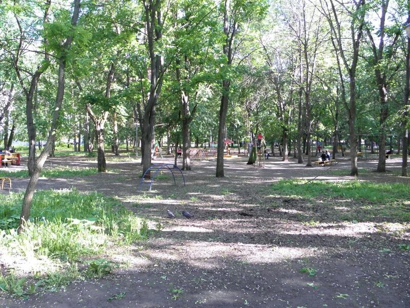 Пионерский парк тамбов пионерский парк фото Фотогалерея Тамбовского края