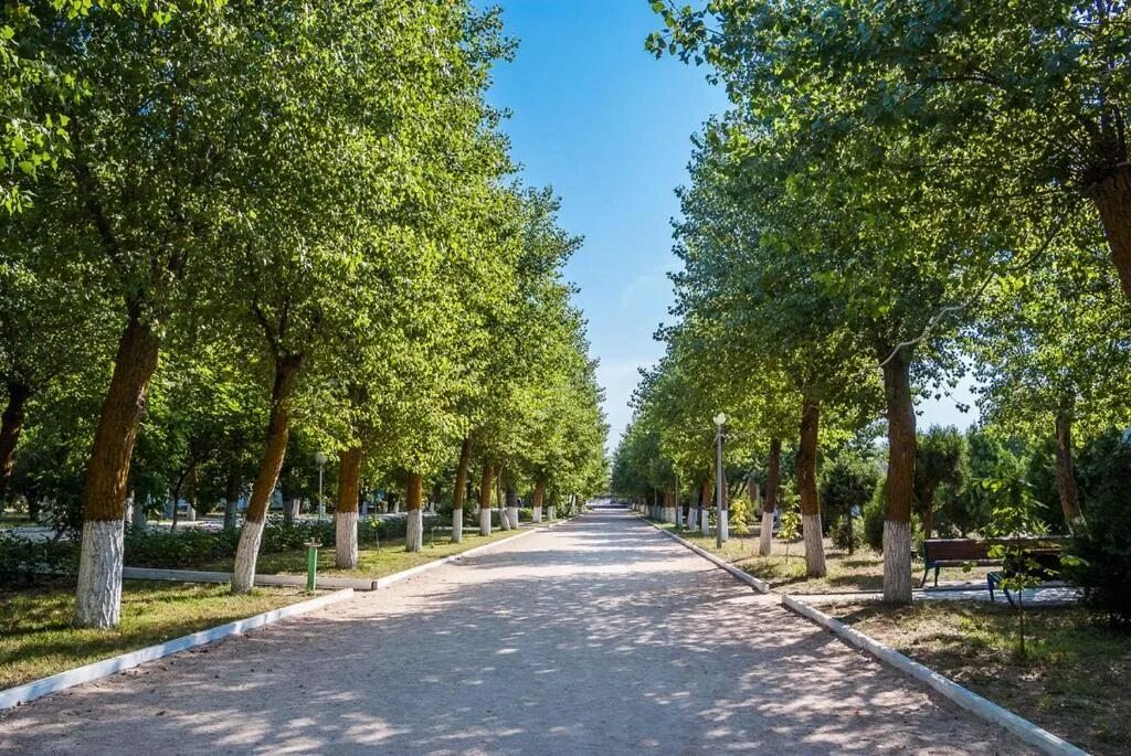 Пионерский проспект фото Пансионат Волна, Анапа, цены от 5040 руб. 101Hotels.com