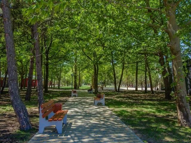 Пионерский проспект фото Отель Sunrise Park 3* (Анапа: Пионерский проспект) - бронирование номеров 2024, 