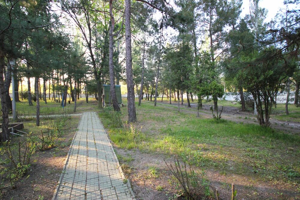 Пионерский проспект фото База отдыха голубые ели анапа - найдено 89 фото