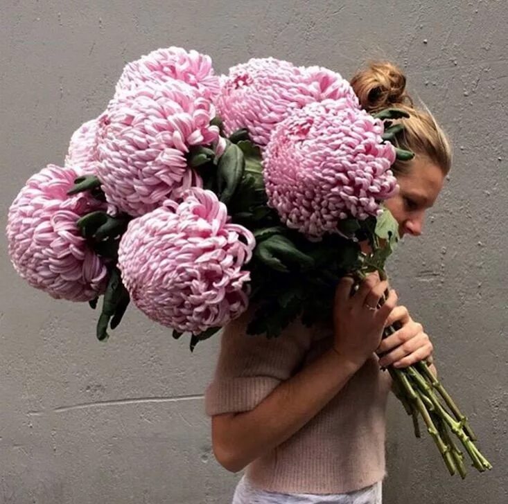 Пионовидные хризантемы фото Current Obsessions: Wild at Heart - Gardenista Beautiful flowers, Bonsai flower,