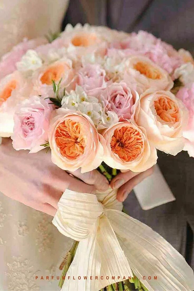 Пионовидные лилии фото David Austin Wedding Rose Juliet Rose wedding, David austin, Rose varieties