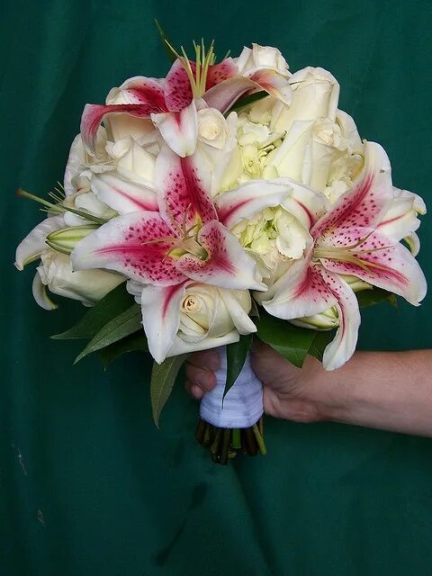 Пионовидные лилии фото Bridal Bouquet Lily bouquet wedding, Wedding bouquets, Lily bouquet