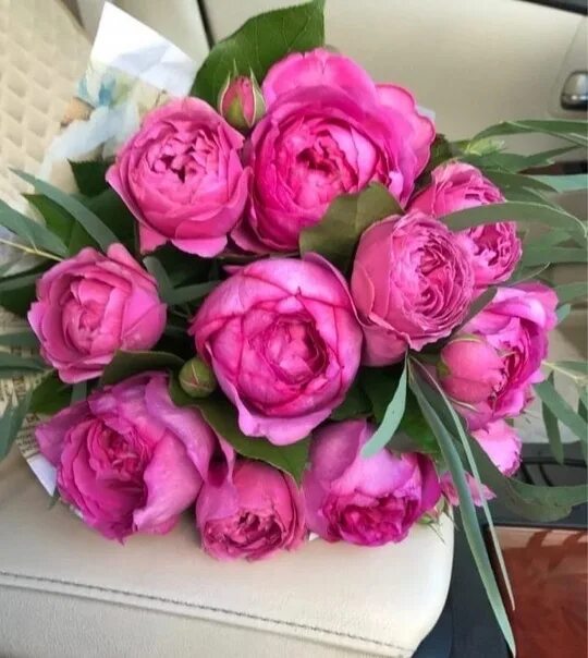 Пионовидные розы фото и названия 65th anniversary of Antonina Valentinovna BUTORINA (25.04.1958), Ph.D., Professo
