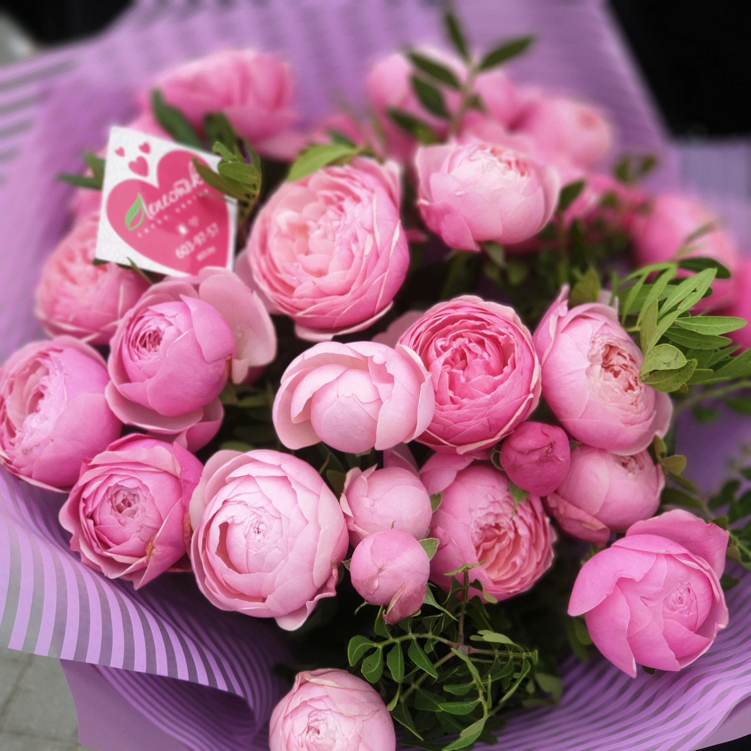 Пионовидные розы фото с днем рождения Охапка пионовидных роз Silva Pink купить в Щучине, закажи, а мы доставим.