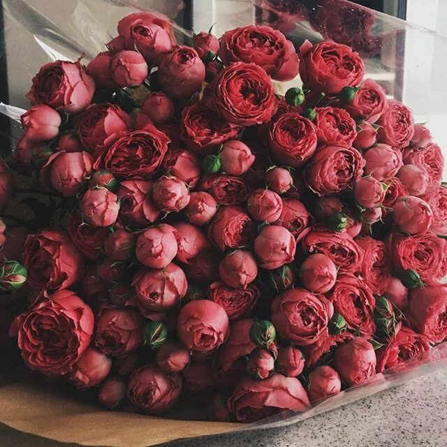 Пионовидные розы фото с днем рождения New Blog @pantone Beautiful bouquet of flowers, Planting flowers, Luxury flowers