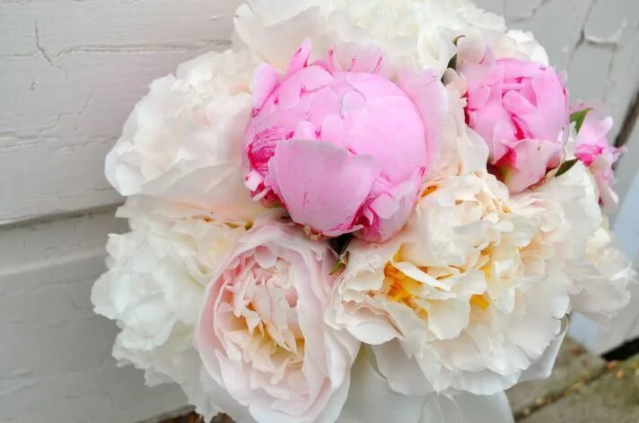 Пионы бело розовые фото Why Brides Love Peonies for the Wedding Day Spring wedding flowers, Bridal bouqu