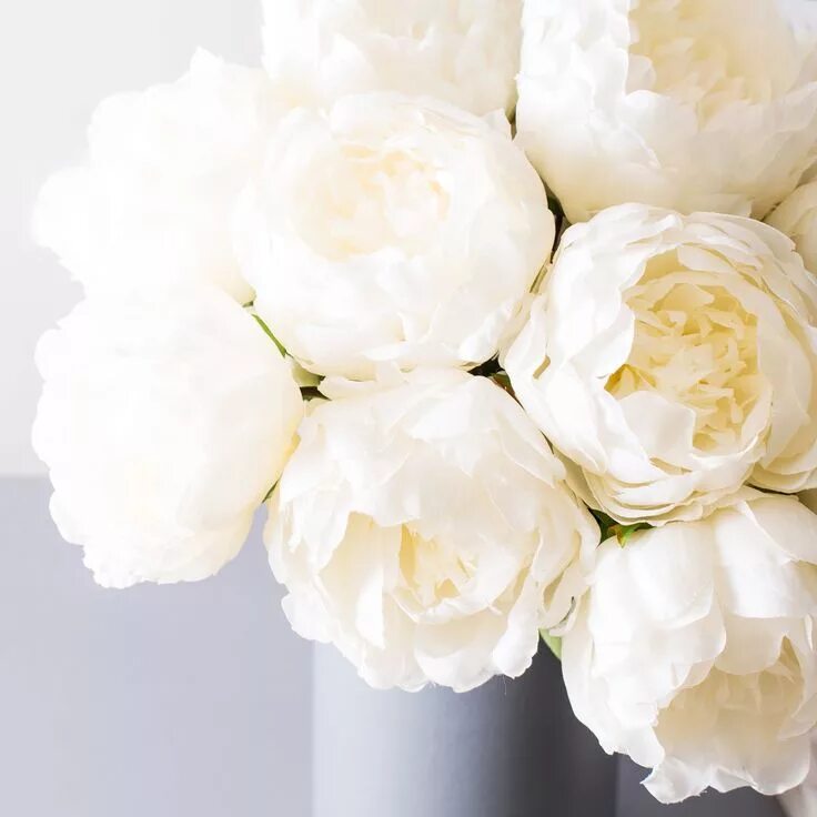 Пионы белые фото красивое white peony - Yahoo Search Results Image Search Results Silk peonies, Fake flowe