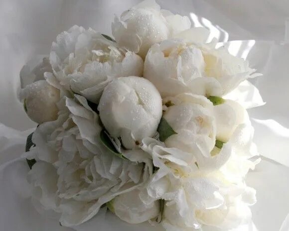 Пионы белые фото красивое свадебный букет Wedding flowers bridal bouquets, White wedding bouquets, Wedding