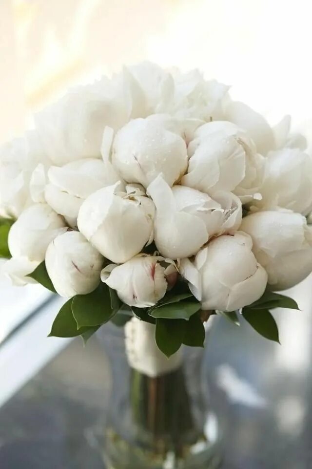 Пионы белые фото красивое White flowers White peonies bouquet, Flower arrangements, Beautiful flowers