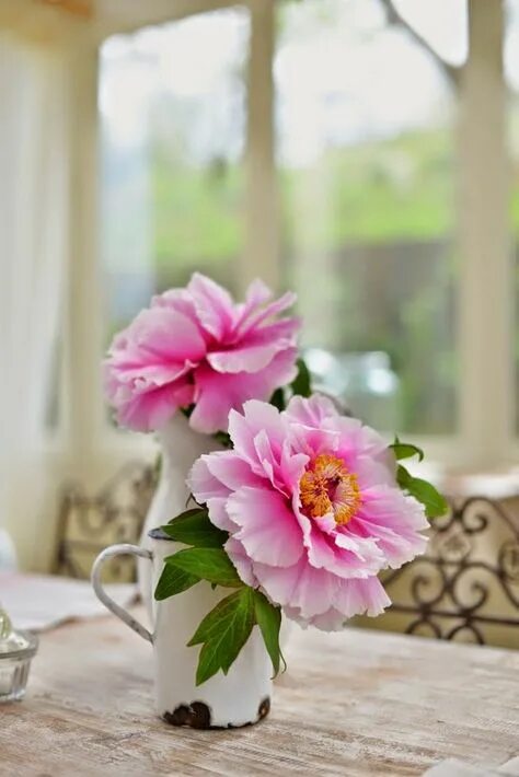 Пионы доброе утро фото 160 Springtime/floral ideas in 2021 floral, beautiful flowers, flower arrangemen