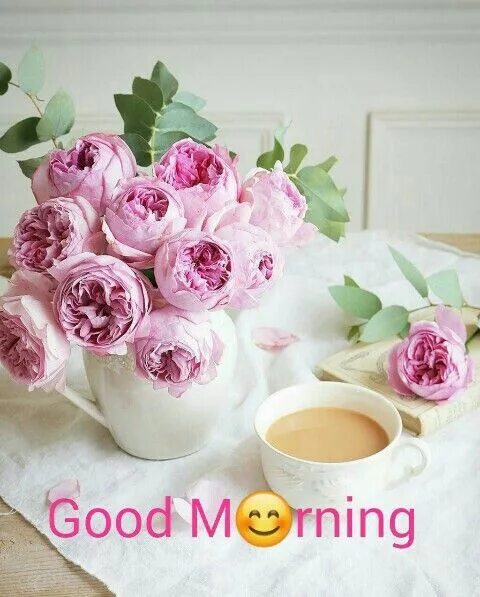 Пионы доброе утро фото Pin on Morning msg Good morning flowers, Good morning greeting cards, Good morni