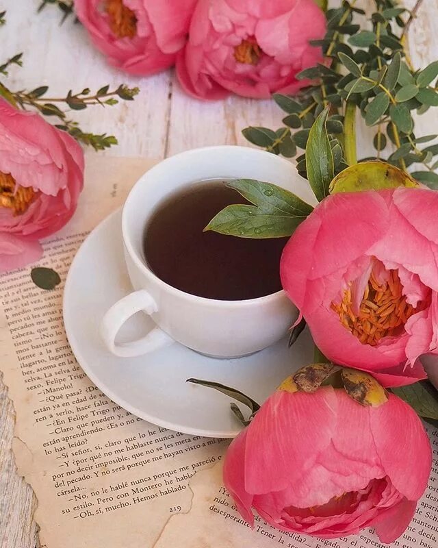 Пионы доброе утро фото Épinglé par Fabienne Claude sur Coffee Time. (& chocolate) ♪ ♫**`**.``❤``.**`**♫