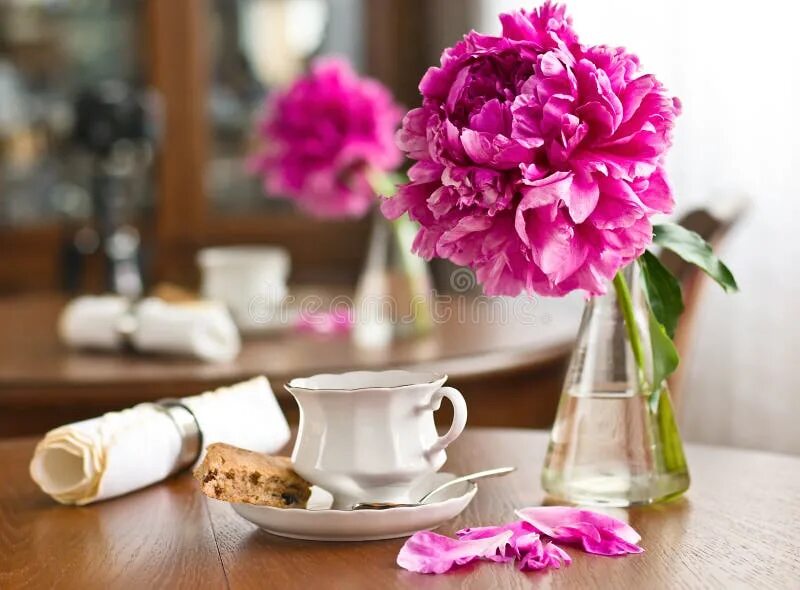 Пионы доброе утро фото A cup of tea and biscuits stock photo. Image of saucer - 20192546