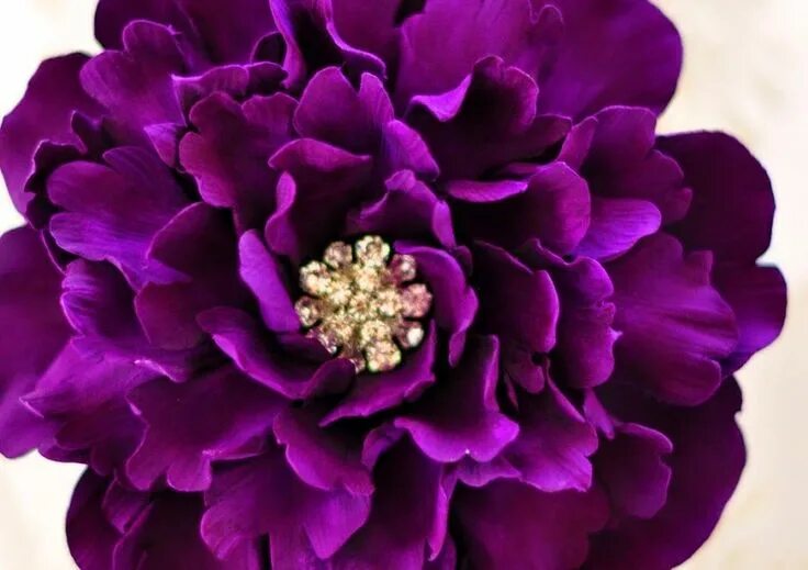 Пионы фиолетовые фото Eggplant Purple Peony Cake Flowers. logo Flower cake, Flowers, Sugar flowers