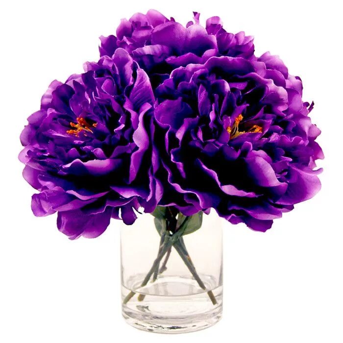 Пионы фиолетовые фото Faux Purple Peony Faux flowers, Purple peonies, Pretty flowers