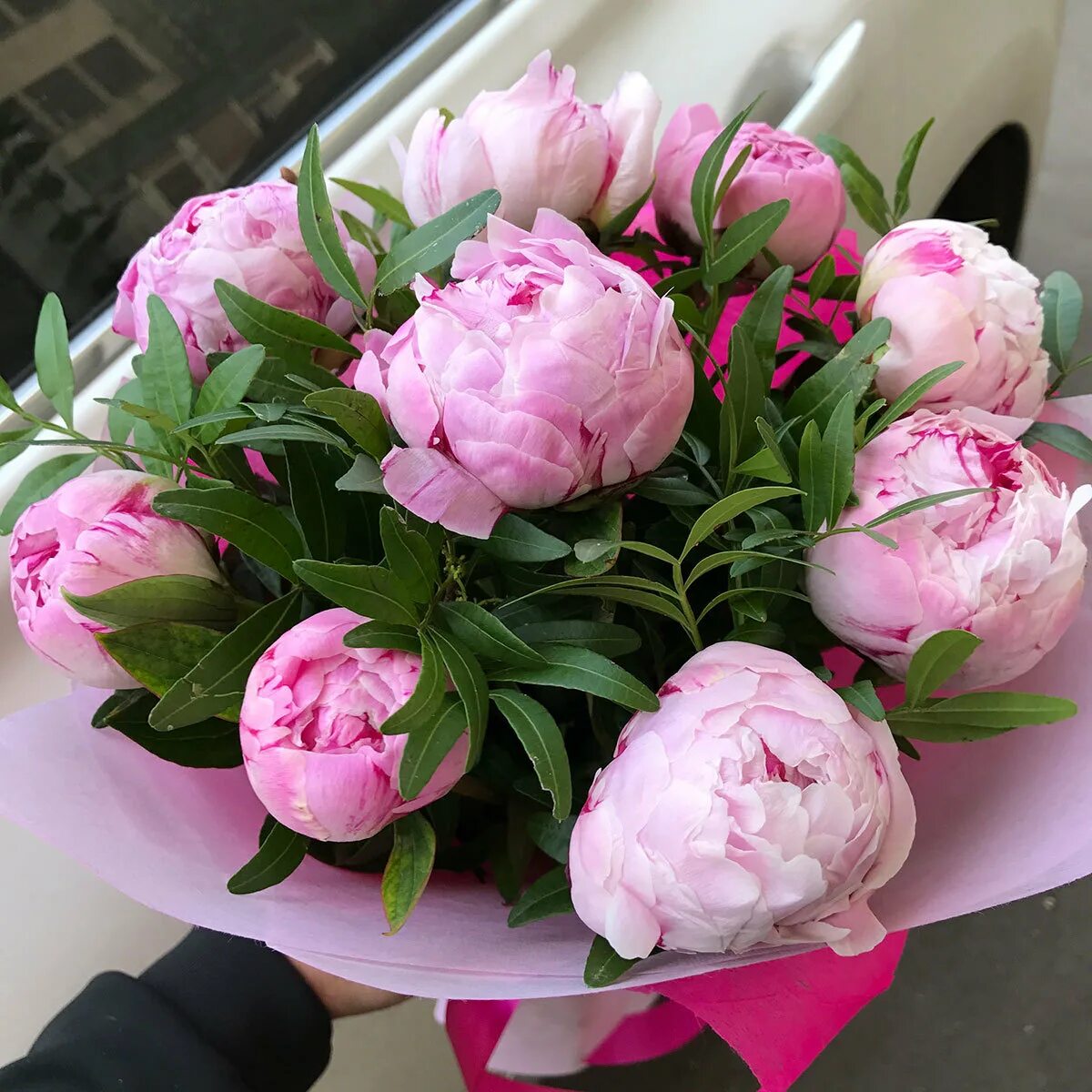 Пионы фото букет хорошего Дом пион цветы: найдено 82 картинок