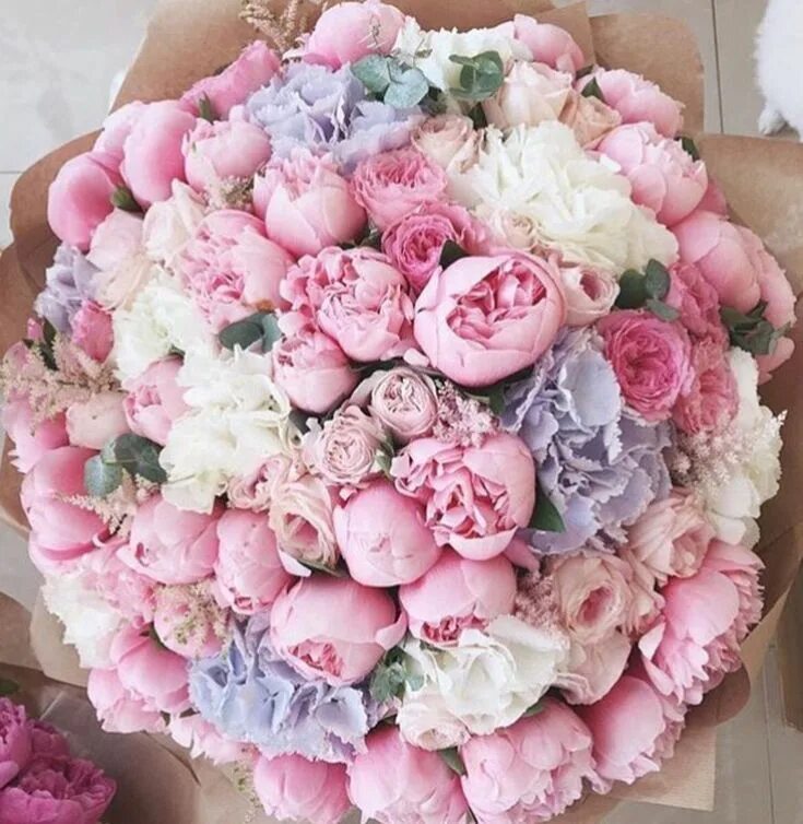 Пионы фото букет хорошего Professional organising & decluttering service Luxury flowers, Wedding flowers, 
