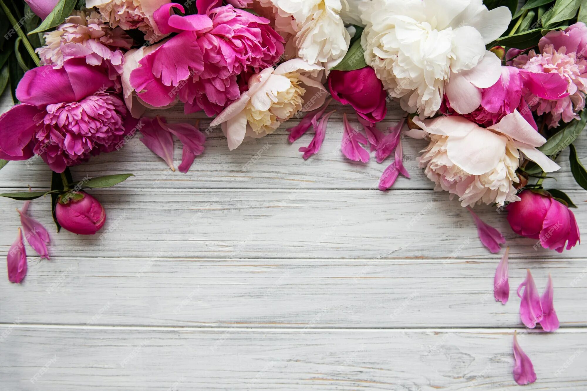 Пионы фото фон Premium Photo Background with pink peonies