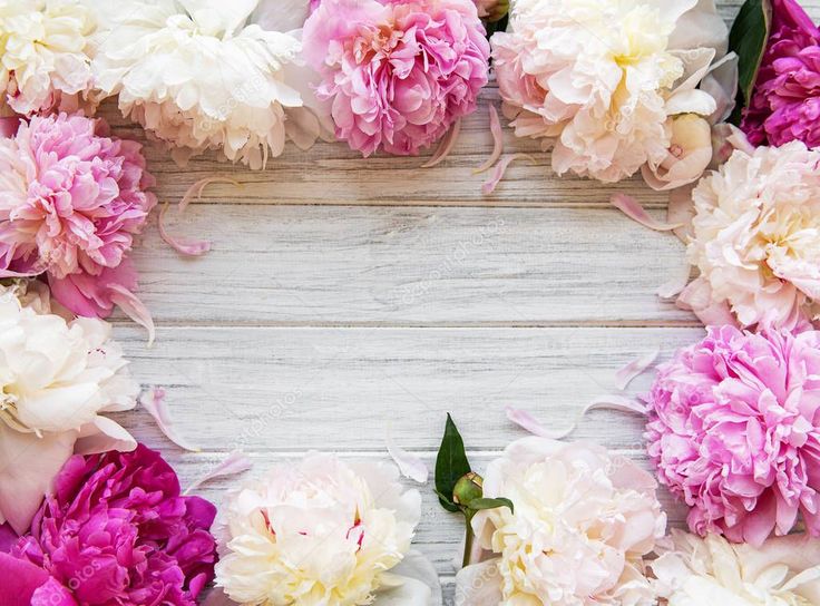 Пионы фото фон Background with peonies - Stock Photo , #sponsored, #peonies, #Background, #Phot
