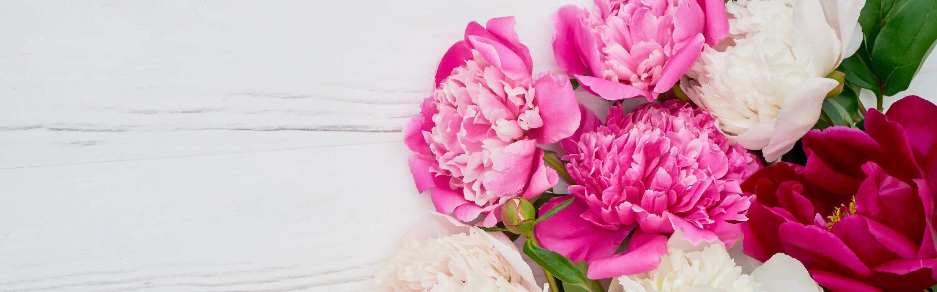 Пионы фото фон Скачать обои цветы, white, pink, пионы, peonies, раздел цветы в разрешении 3360x
