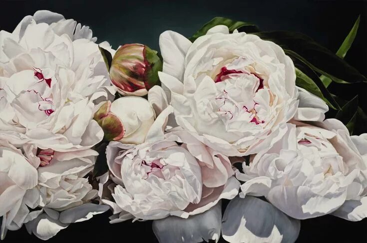 Пионы фото картины Flowers THOMAS DARNELL PRINTS Hiperrealismo, Arte, Pinturas