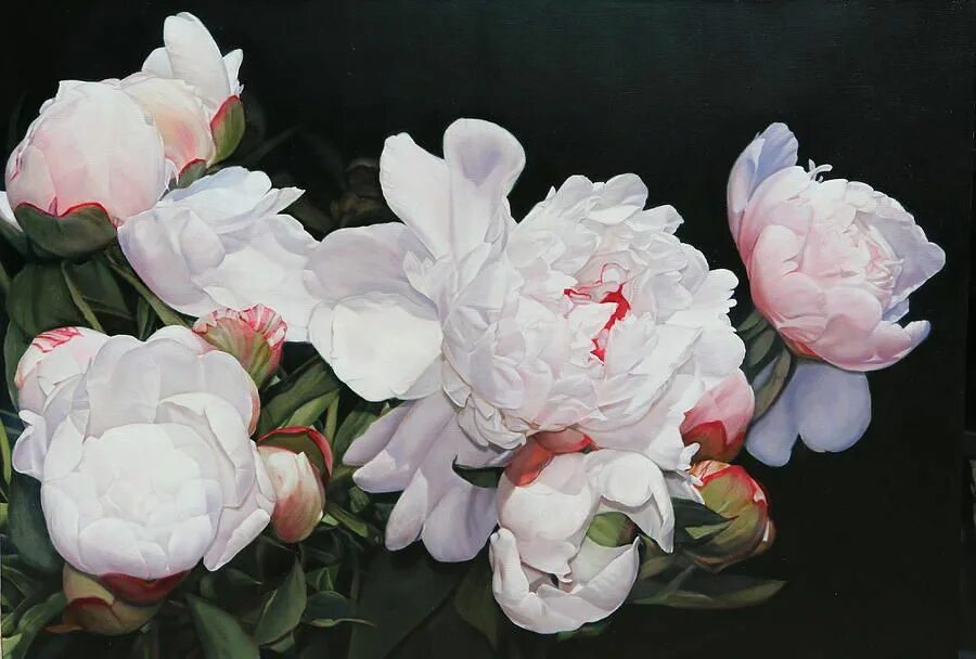 Пионы фото картины Heather Peonies by Thomas Darnell Peony painting, Flower painting, Floral painti