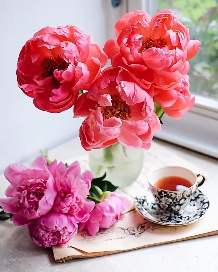 Пионы фото красивые картинки с добрым утром Image may contain: flower Винтажные картины, Цветы, Кофе