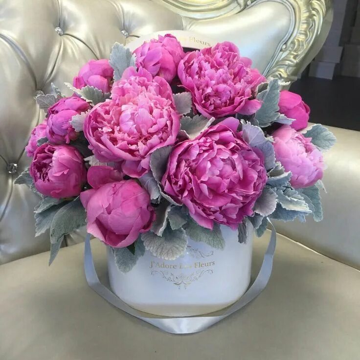 Пионы фото красивые шикарные королевские J'adore Les Fleurs Şakayık