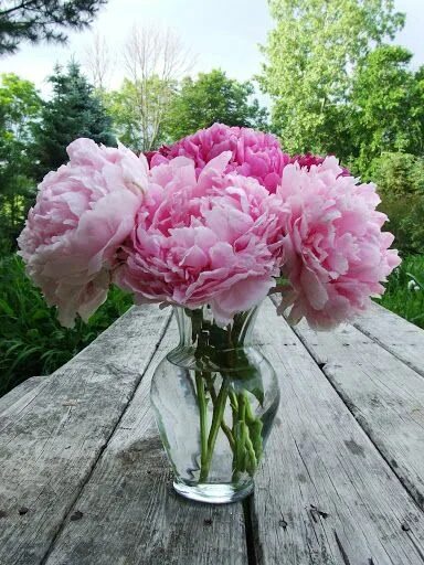 Пионы фото лилии пионы живые - Google Поиск Peony flower arrangements, Flower arrangements, Trend