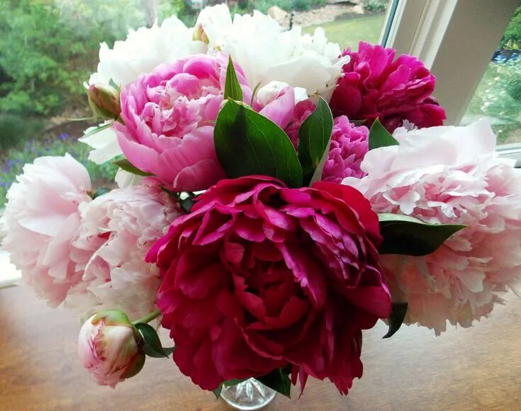 Пионы фото открытка peony arrangement from my garden Peony arrangement, Peonies, Growing peonies