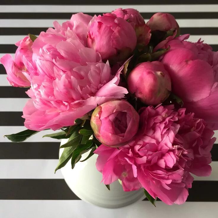 Пионы фото с днем рождения Pink peonies. Wonderful flowers, Pretty flowers, Beautiful flowers